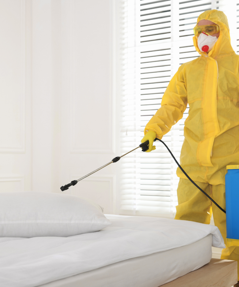 Professional Pest Control Team in Piccadilly